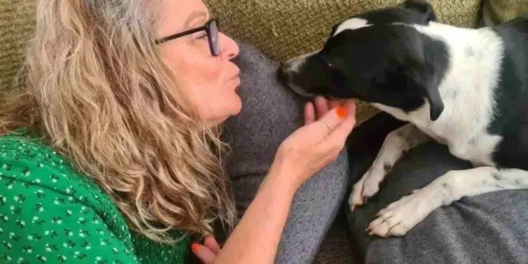 Βρετανία: Σκύλος έσωσε τη ζωή της ιδιοκτήτριάς του – Πώς τη βοήθησε να βρει ότι έχει καρκίνο